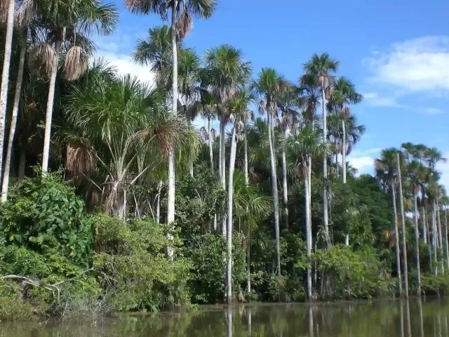tour puerto maldonado 4 días 3 noches
