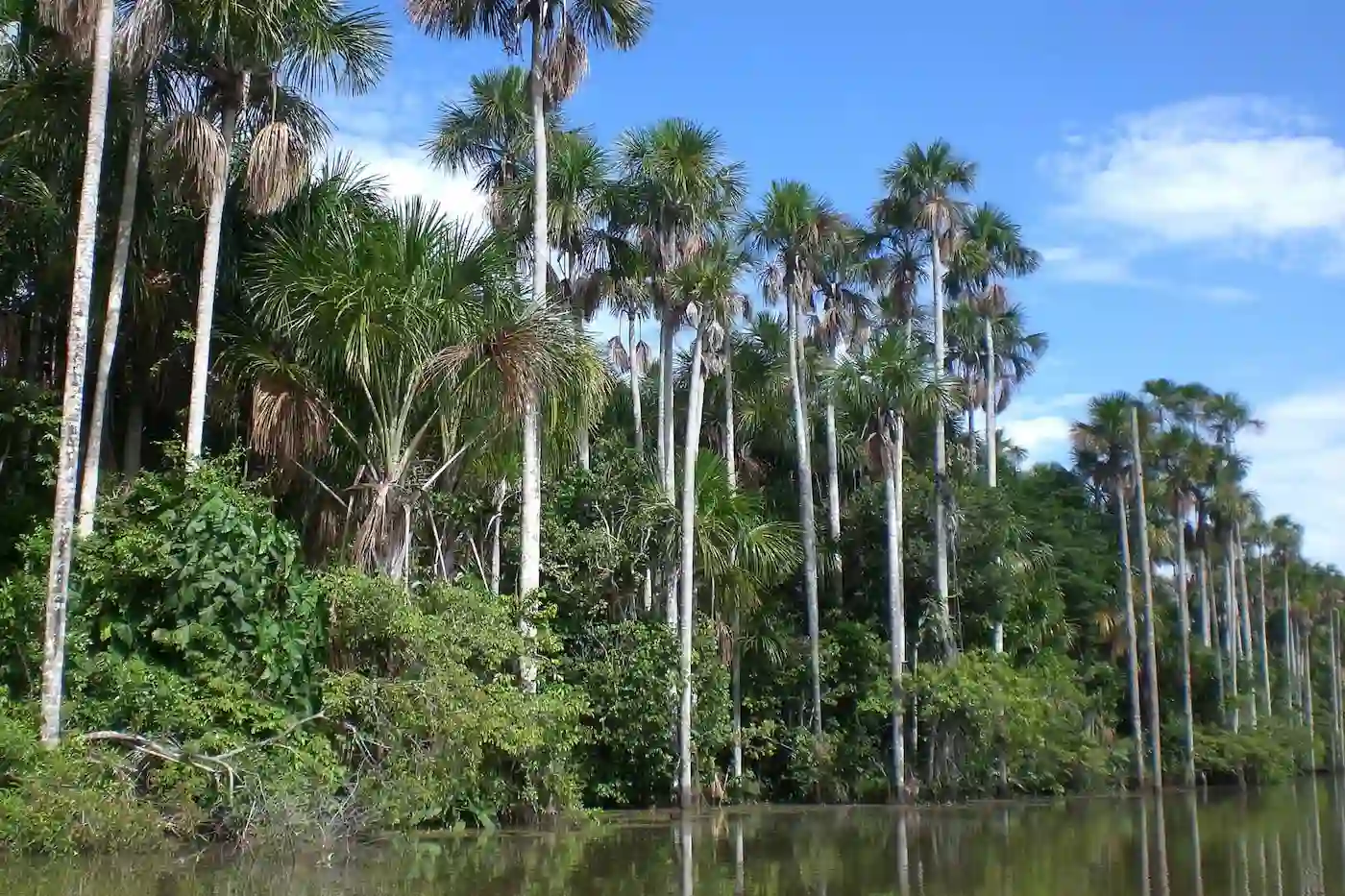 tour puerto maldonado 4 días 3 noches
