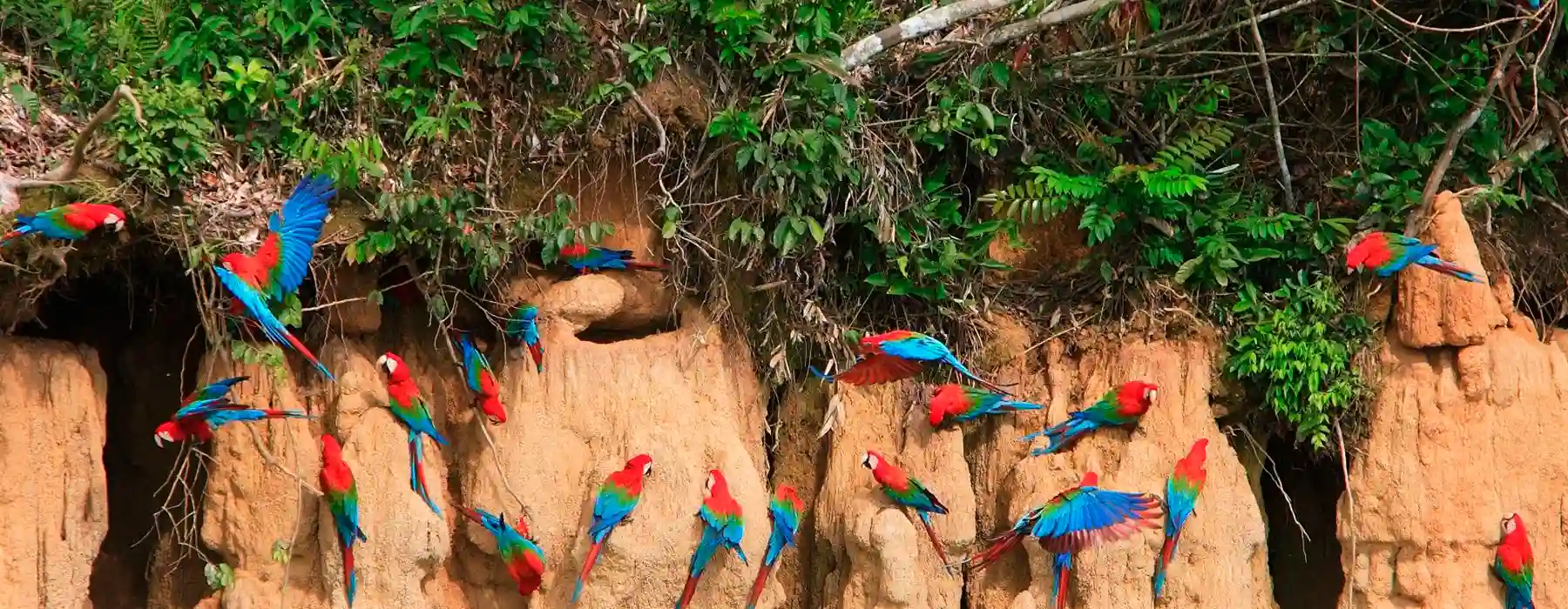 Tambopata Reserva Natural y Camino Salkantay