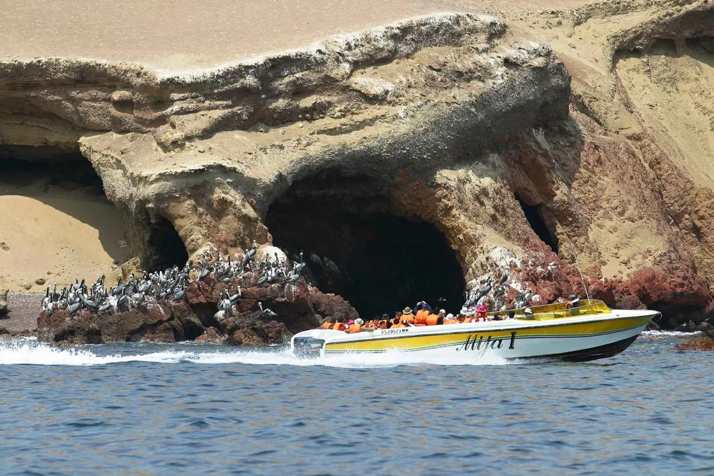 Tour paracas 3 días 2 noches