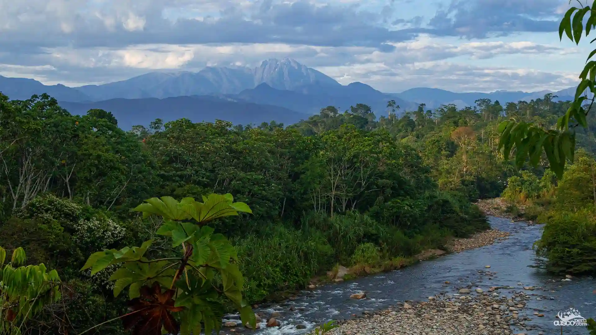Clima de la selva peruana