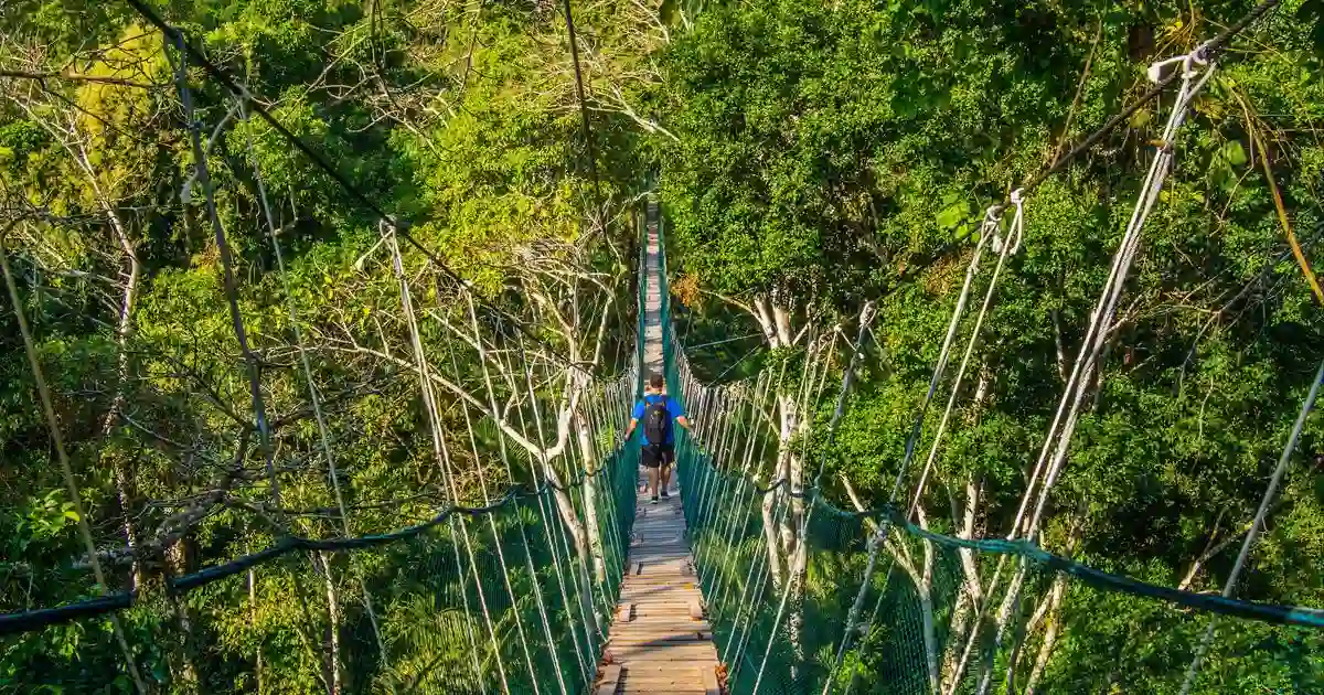Reserva Nacional Tambopata