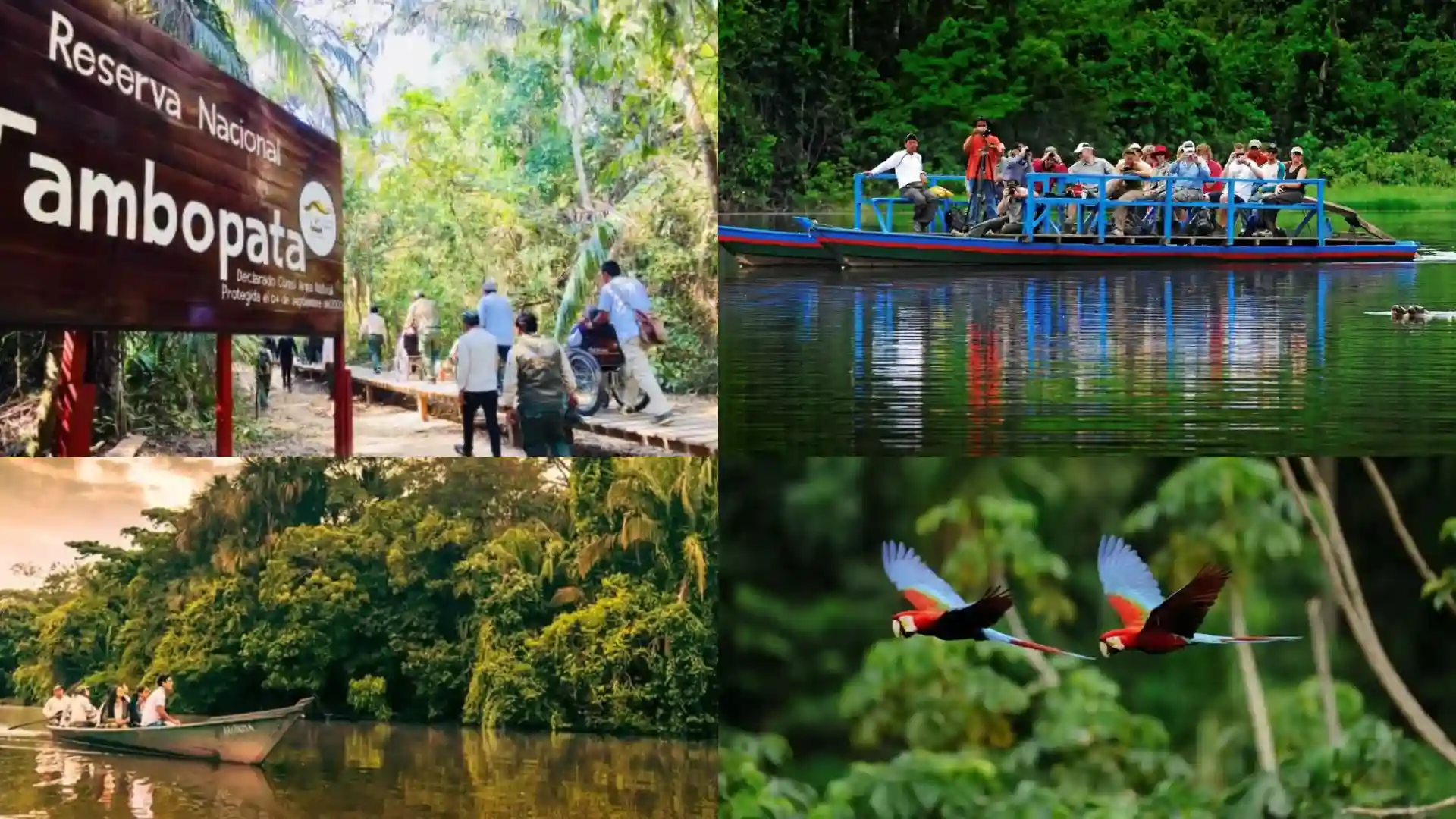 Rutas recomendadas para explorar los lugares turísticos de la selva peruana