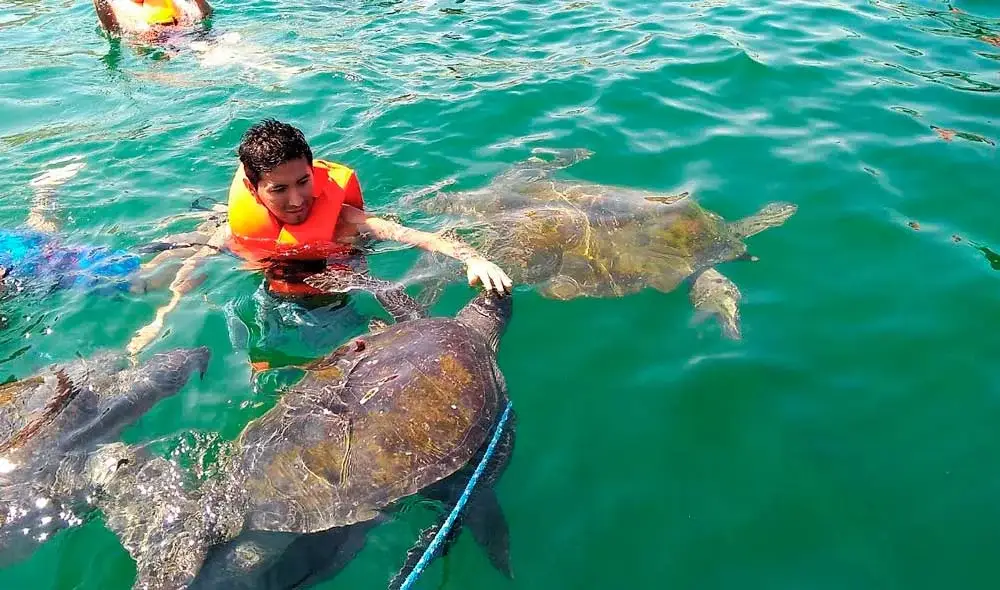 lugares turisticos de la costa peruanas el ñuro