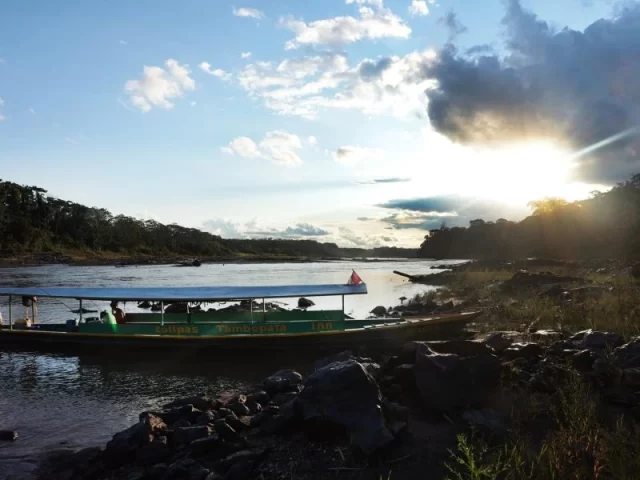 tour full day collpa de guacamayos