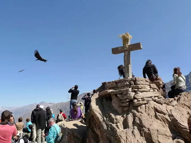 Full day cañon del colca