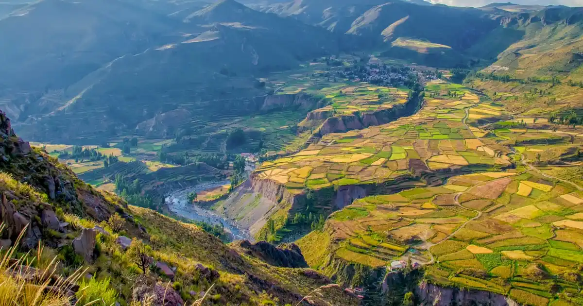 Full day cañon del colca tour desde arequipa