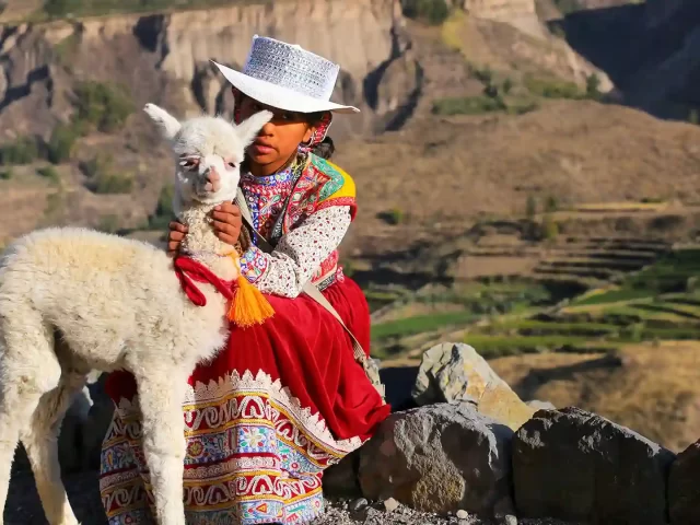 tour Full day cañon del colca 1 dia