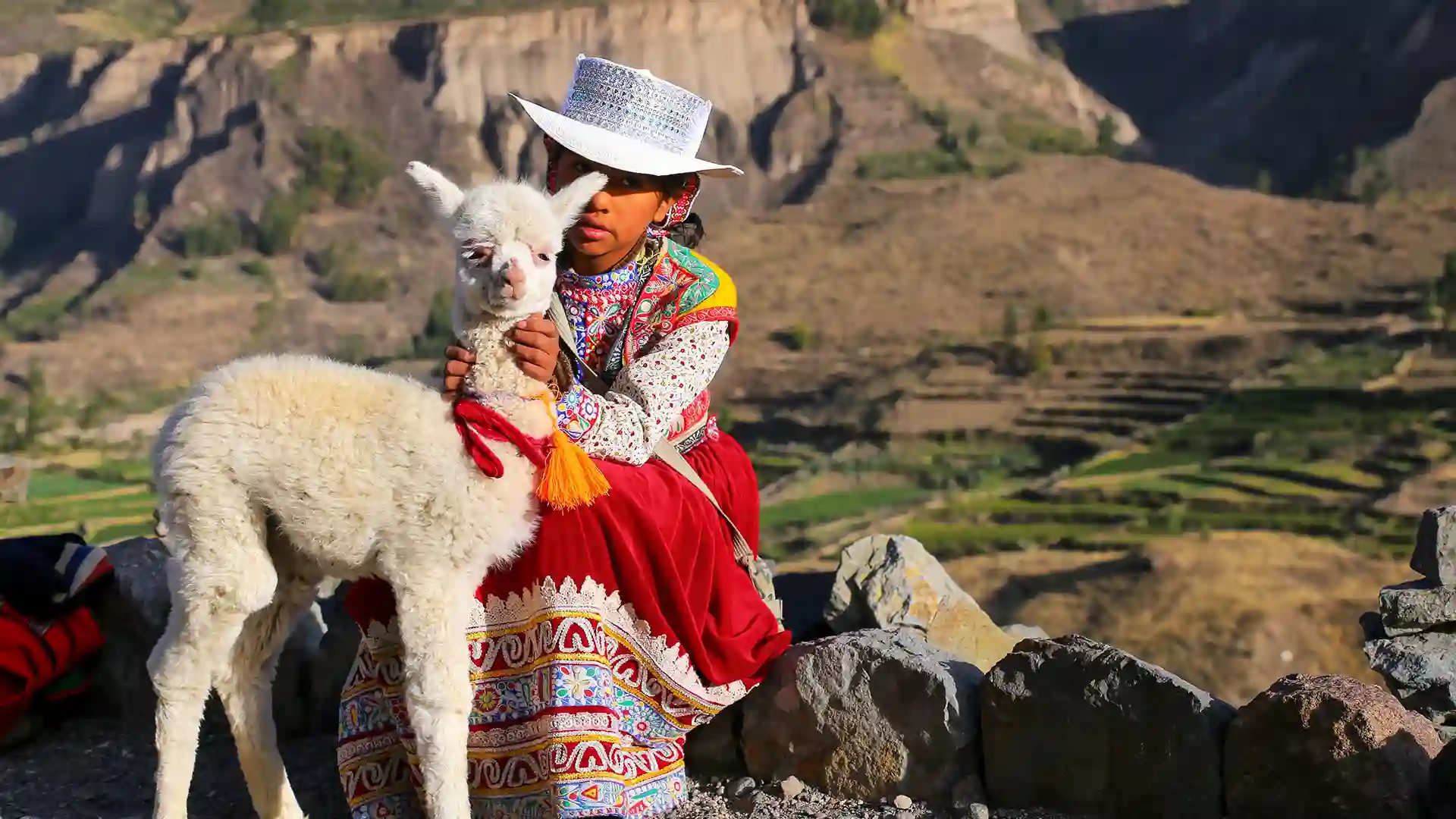 tour Full day cañon del colca 1 dia