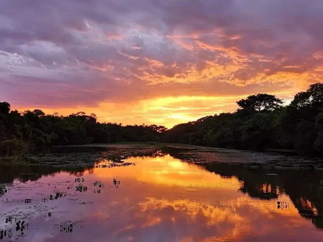 Tour Iquitos 3 días 2 noches