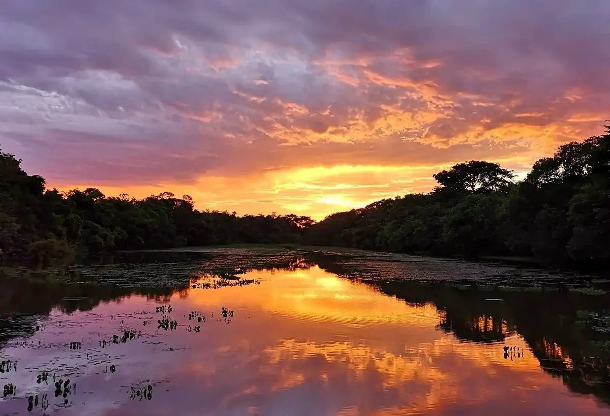 Tour Iquitos 3 días 2 noches