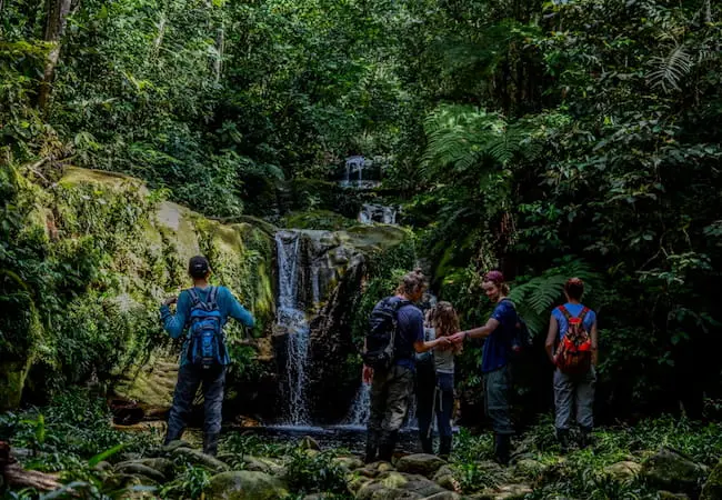 tours en la reserva del manu