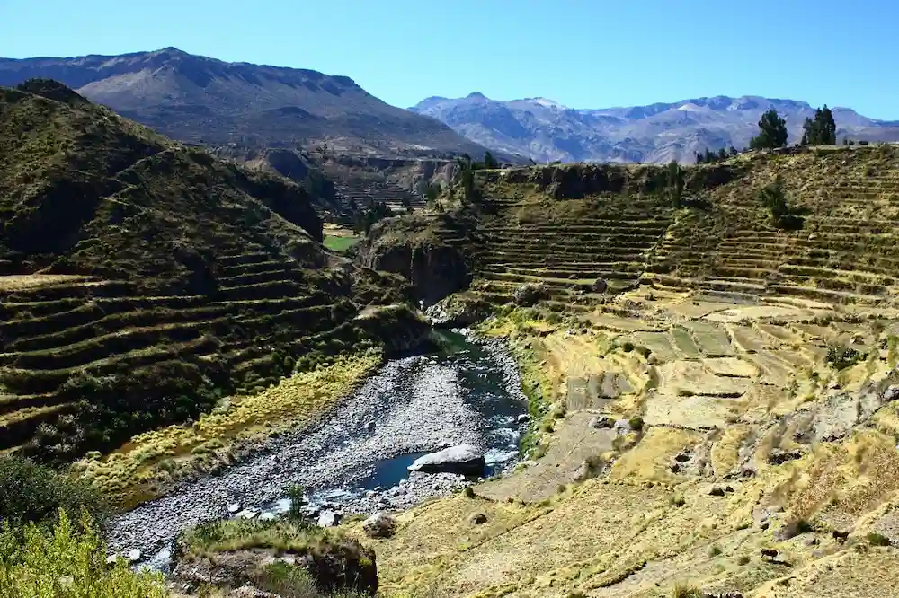 cañon del colca tours en arequipa