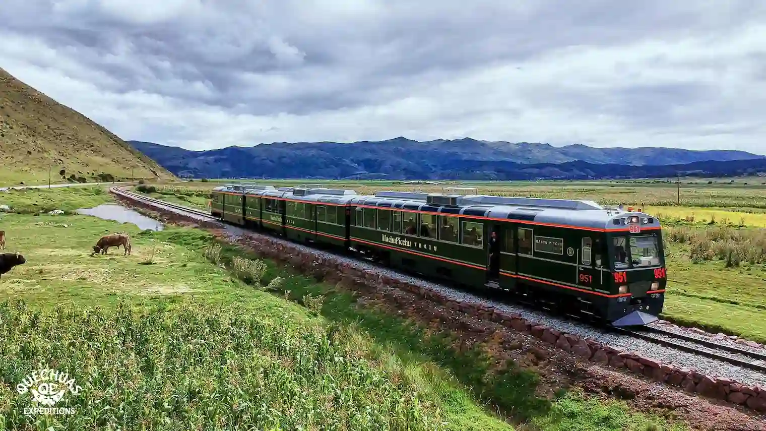 cual es el mejor tren para ir a machu picchu
