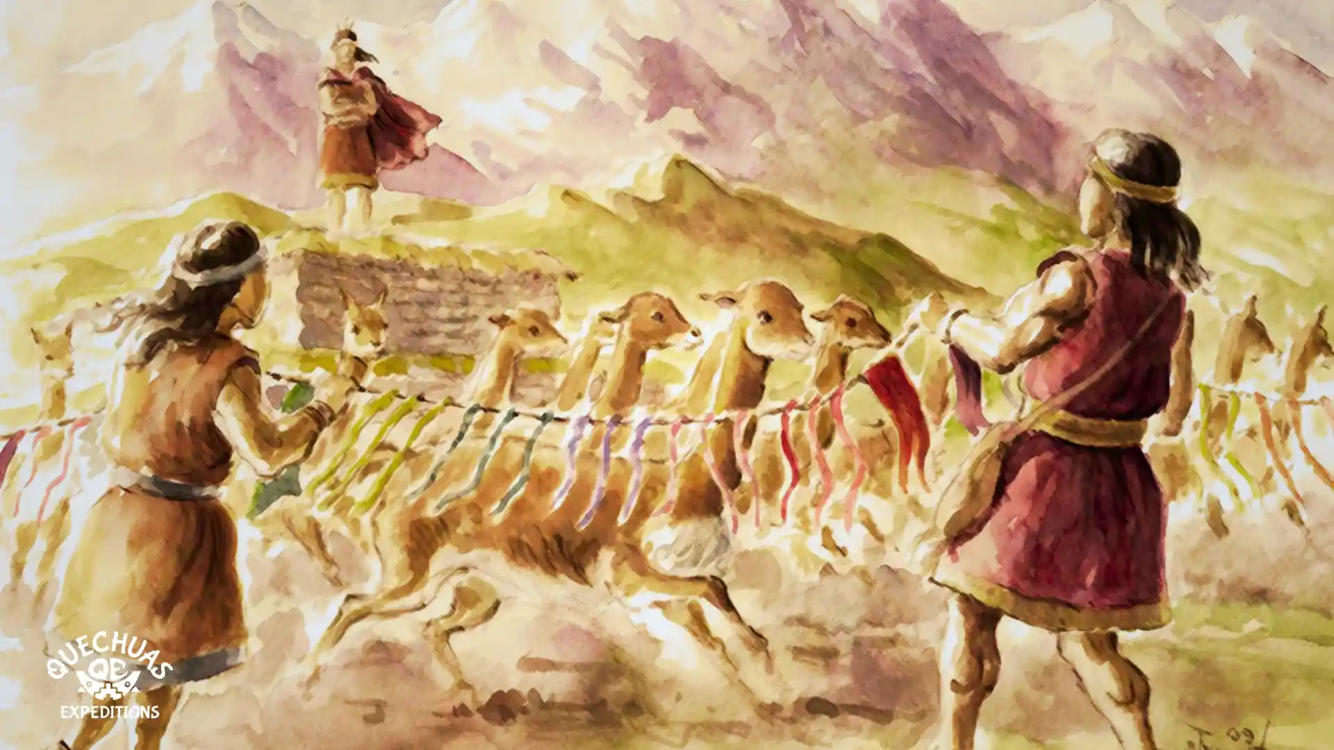 Historia del Chaccu de Vicuñas