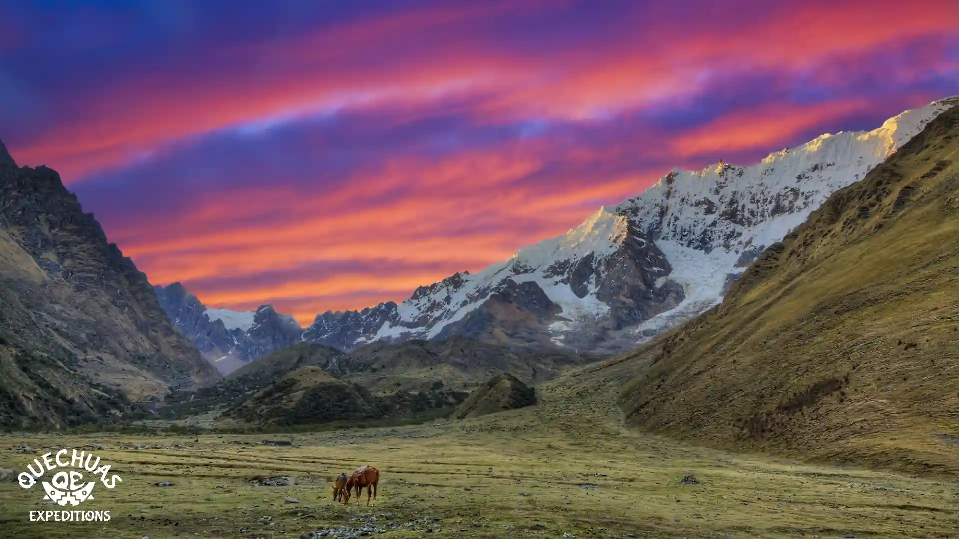 Perú tiene 84 zonas de vida reconocidas